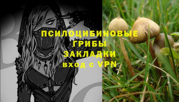 амф Вяземский