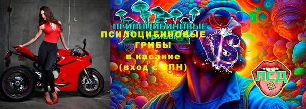 амф Вяземский
