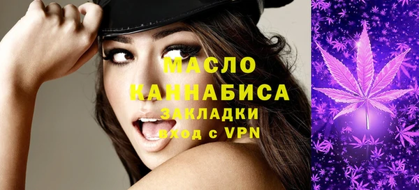 амф Вяземский