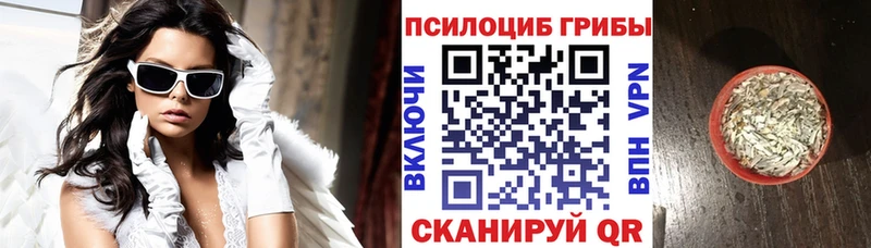 Купить где  Кириллов  Галлюциногенные грибы Magic Shrooms 